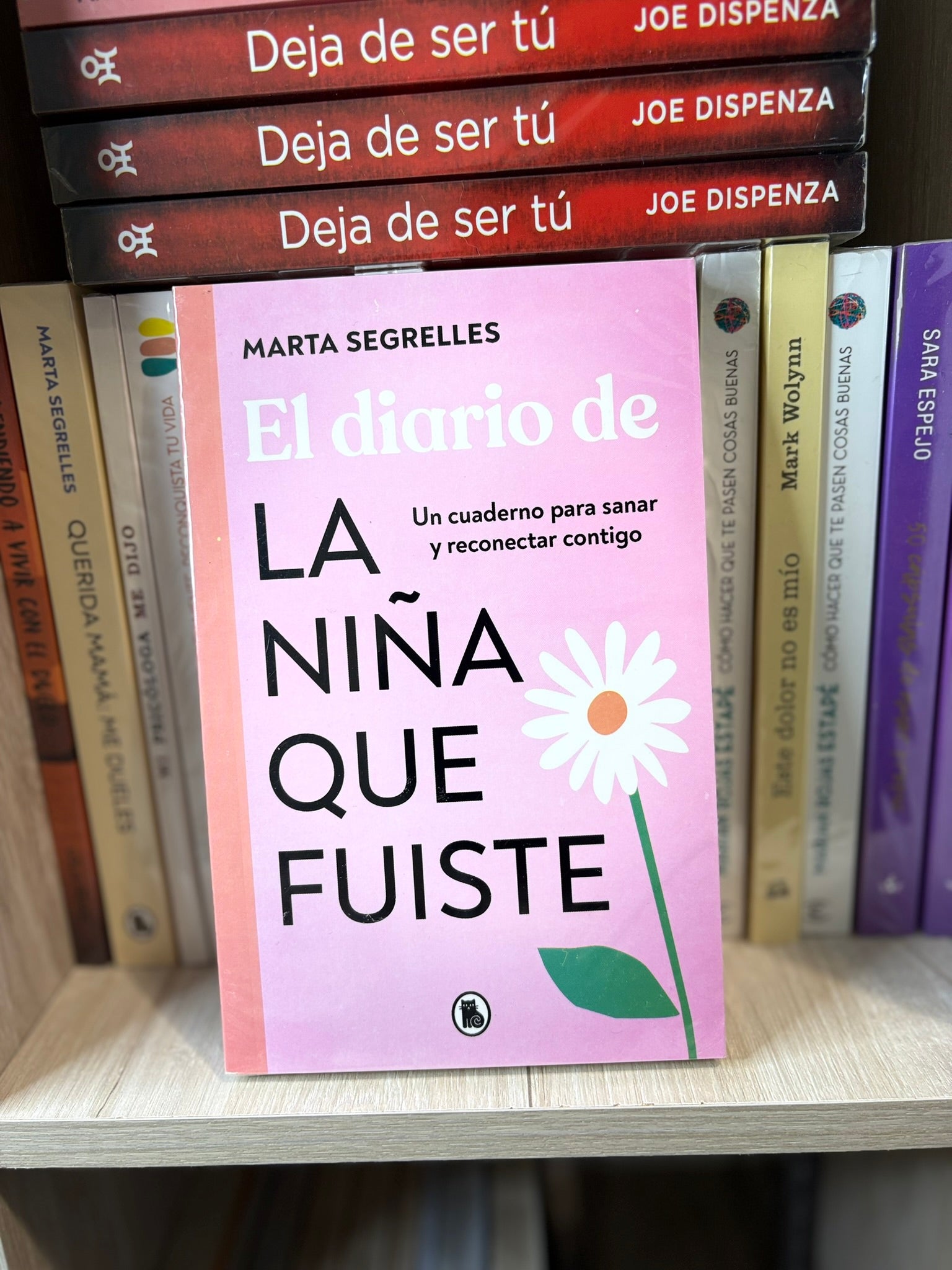 El diario de la niña que fuiste