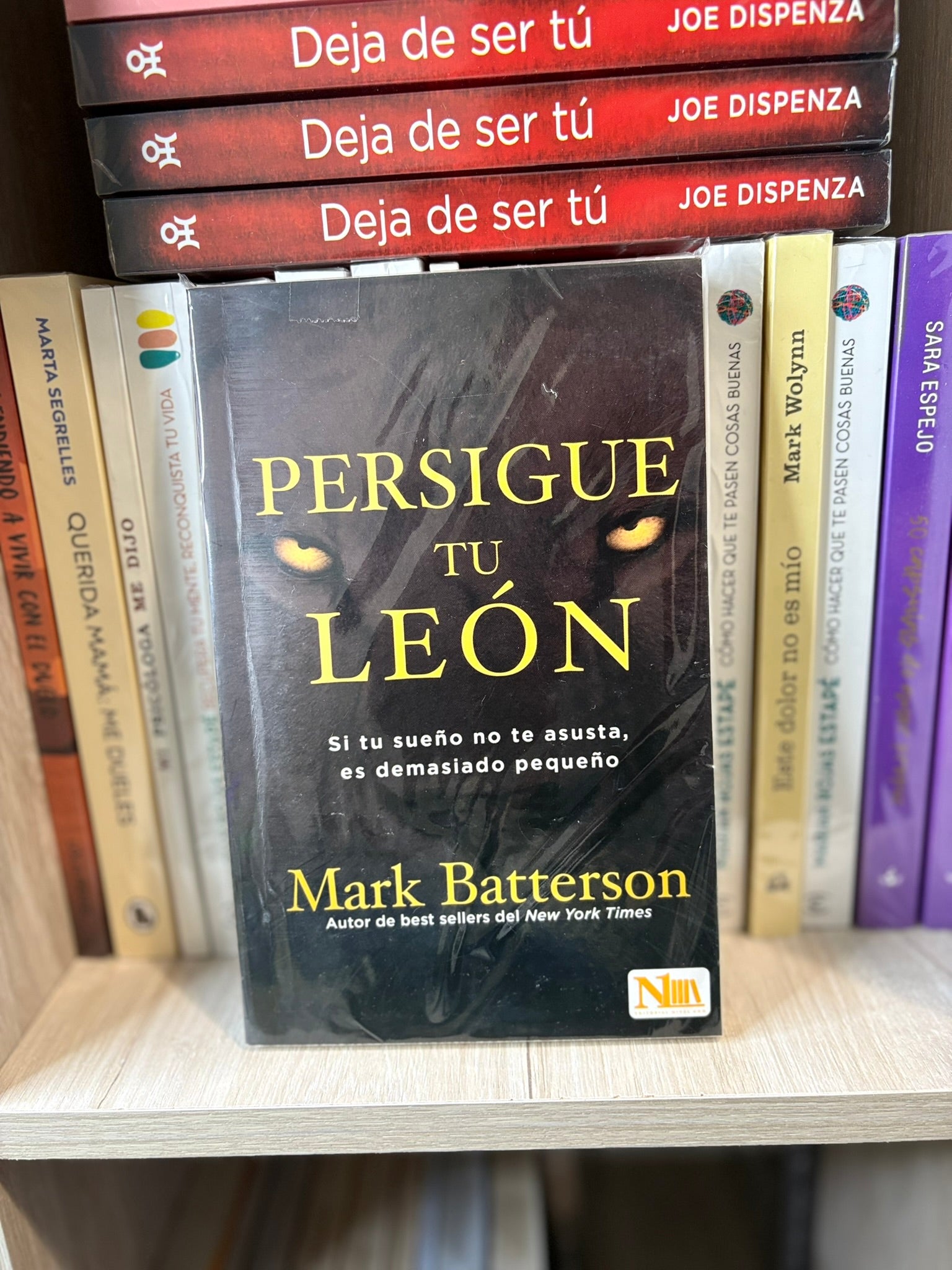 Persigue tu león